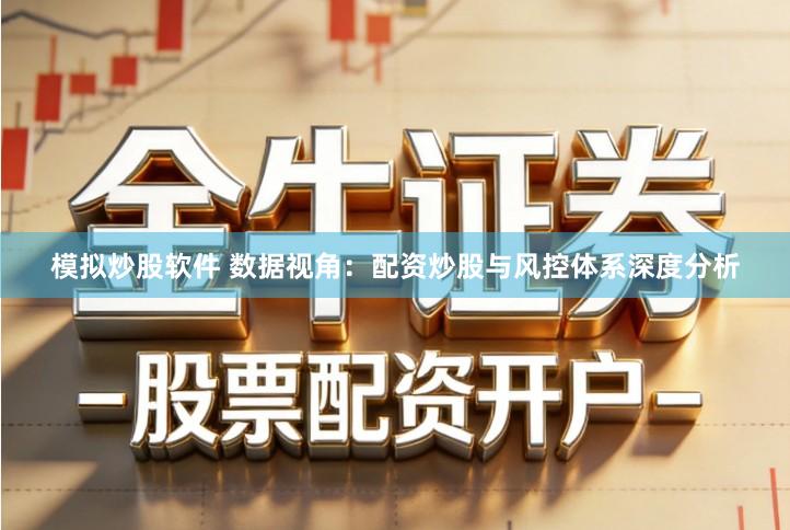 模拟炒股软件 数据视角:配资炒股与风控体系深度分析