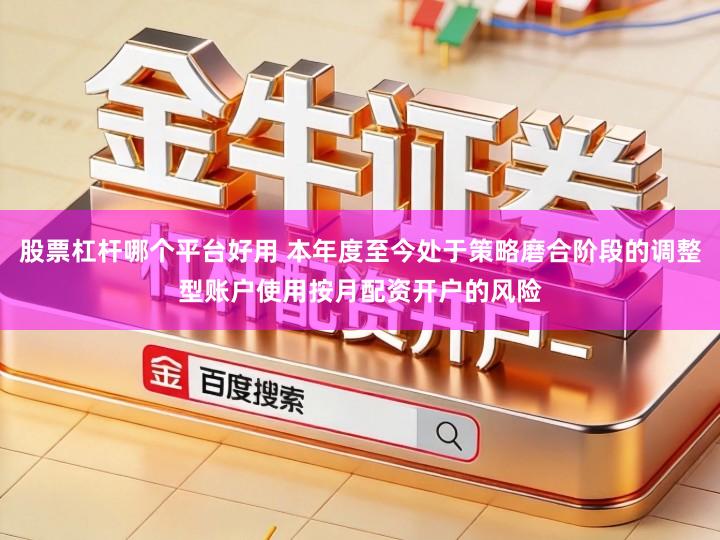 股票杠杆哪个平台好用 本年度至今处于策略磨合阶段的调整型账户使用按月配资开户的风险